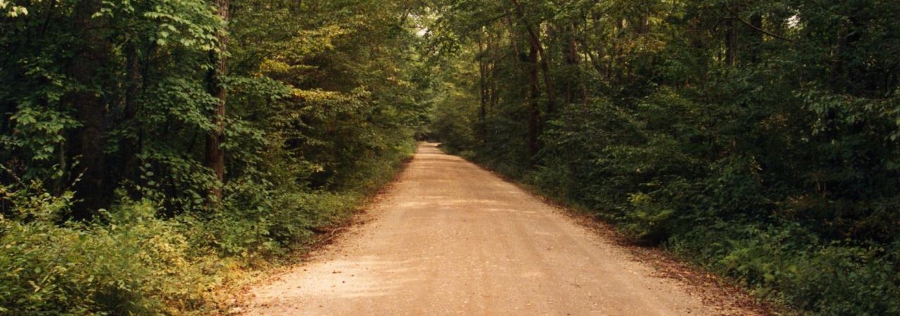 Chancellorsville photographed by Leon Reed