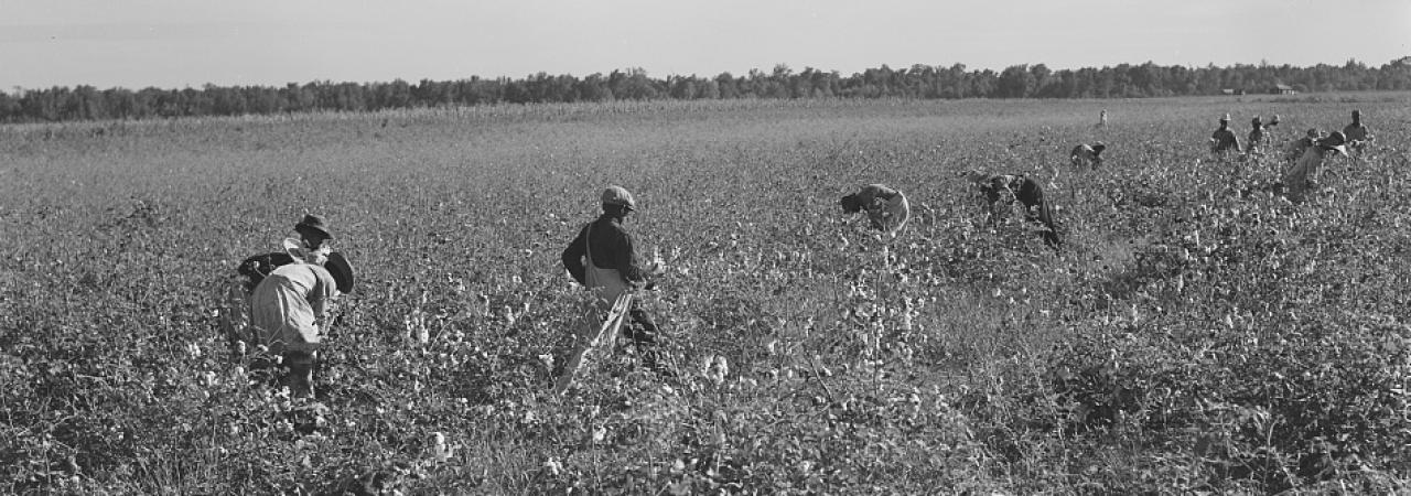 Sharecroppers  American Battlefield Trust