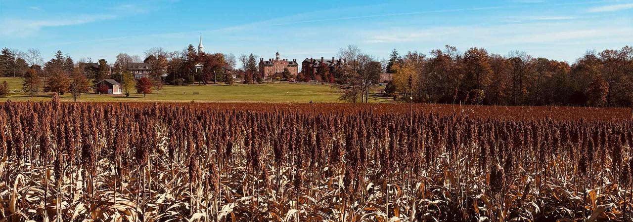 Seminary Ridge at Gettysburg National Military Park, Pa.