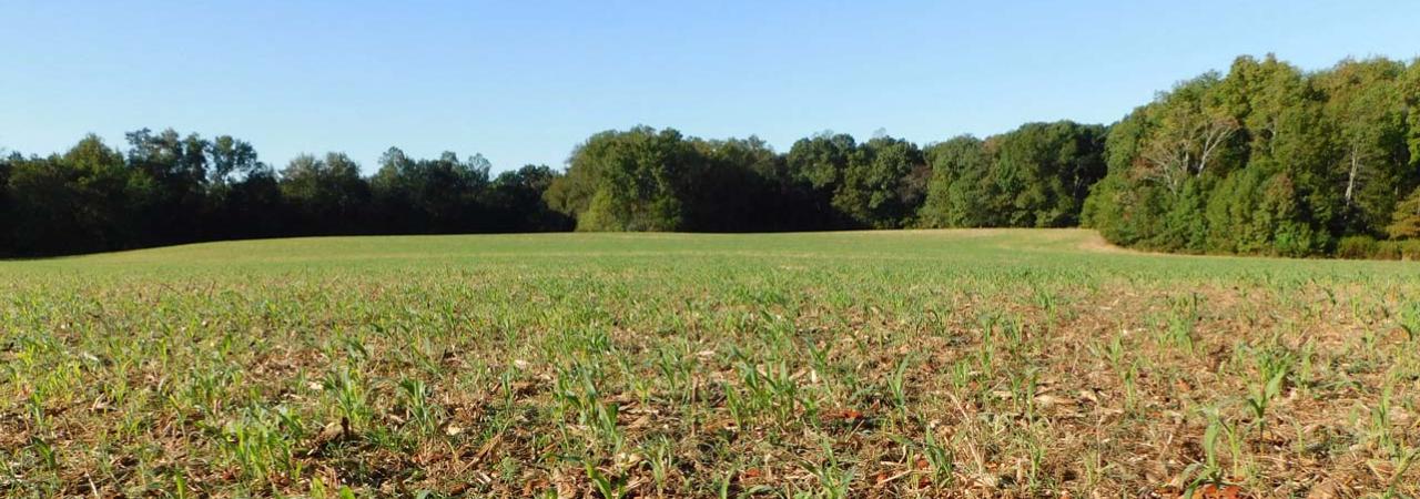 Second Deep Bottom Battlefield, Henrico County, Va.