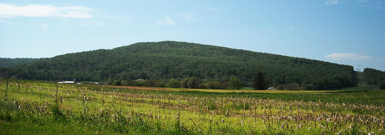 Escape to History: Maryland's South Mountain Battlefield