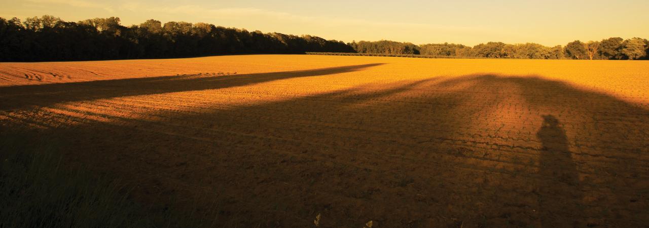 This is a photograph of the Monmouth battlefield during a golden sunset. 