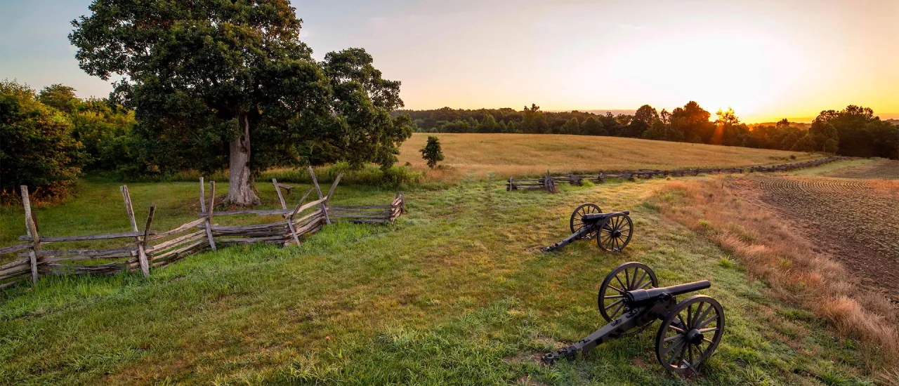 Cannons and a split-rail fence on the Cedar Mountain Battlefield