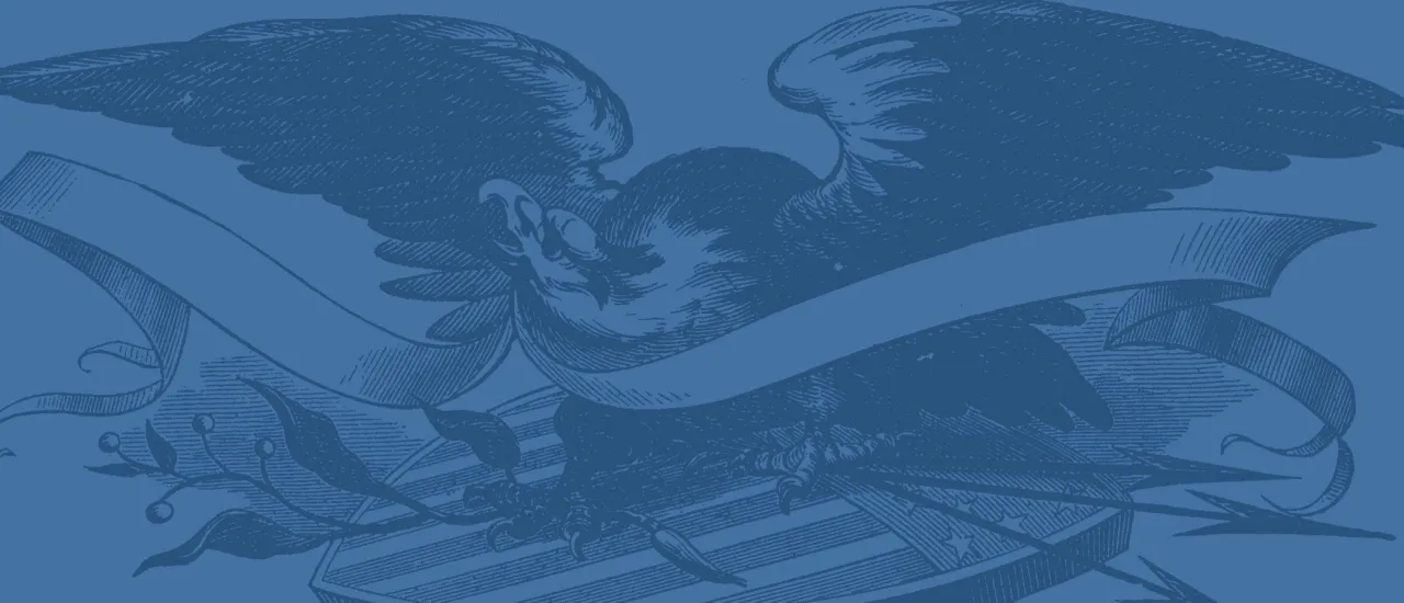 This is a sketch of a bald eagle spreading its wings.