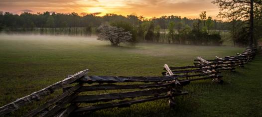 Shiloh National Military Park, Tenn.