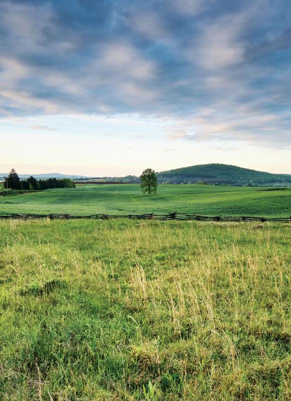 Cedar Mountain Battlefield, Culpeper County, Va.