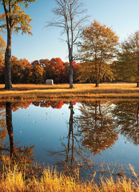 The Bloody Pond at Shiloh National Military Park, Tenn.