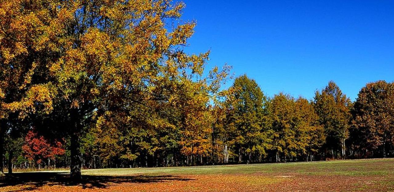 Cowpens Battlefield