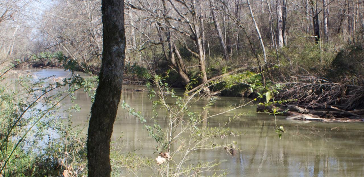 The Fight At Reed's Bridge 