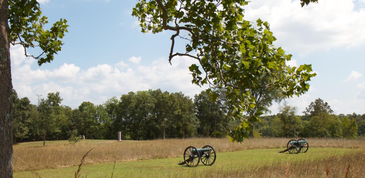 Cannons at Manassas National Battlefield Park, Va.