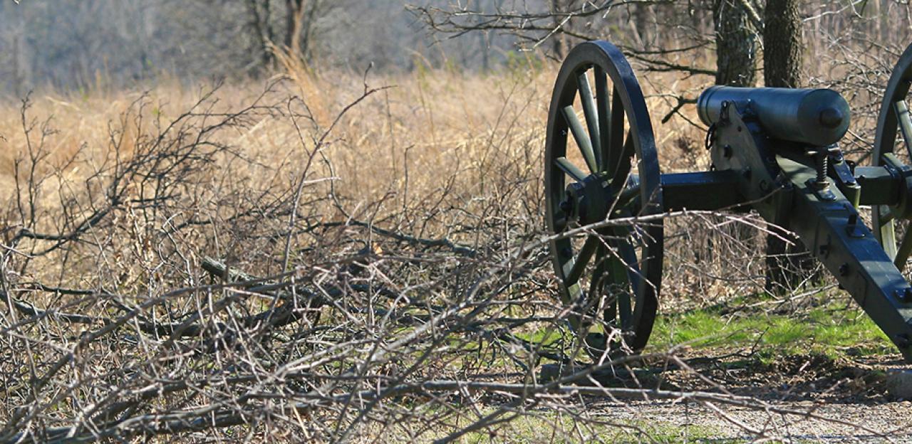 Civil War cannons return to Capitol