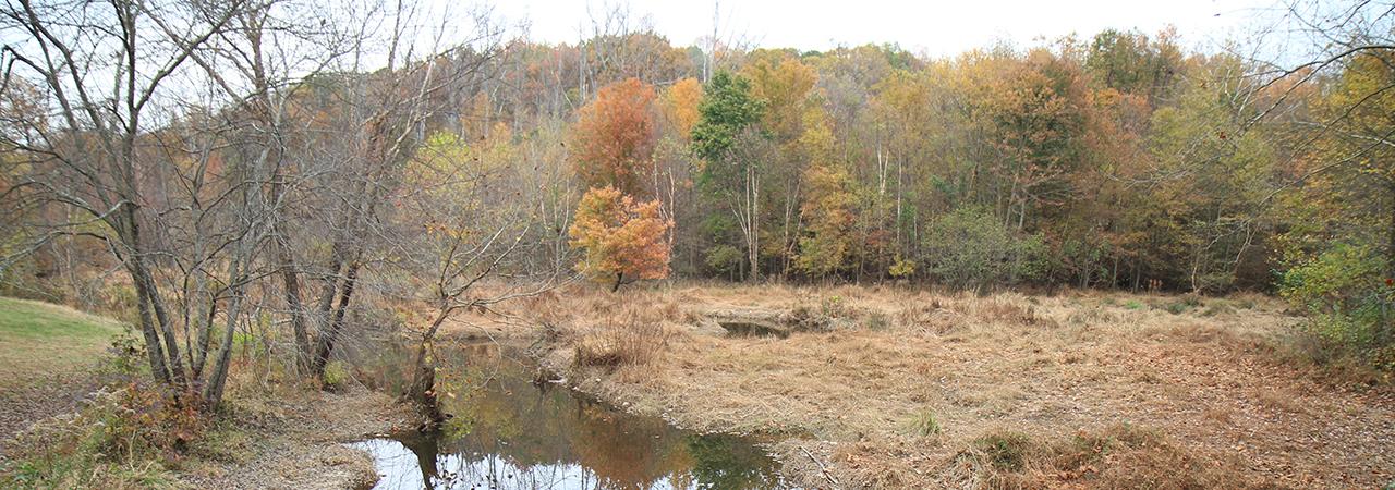 beaver dam creek battlefield