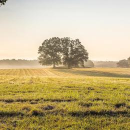 Itineraries | American Battlefield Trust