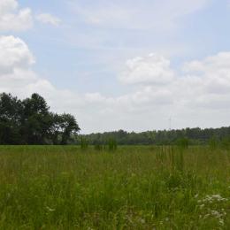 Wyse Fork Battlefield, Kinston, N.C.