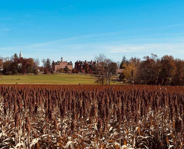 Seminary Ridge at Gettysburg National Military Park, Pa.