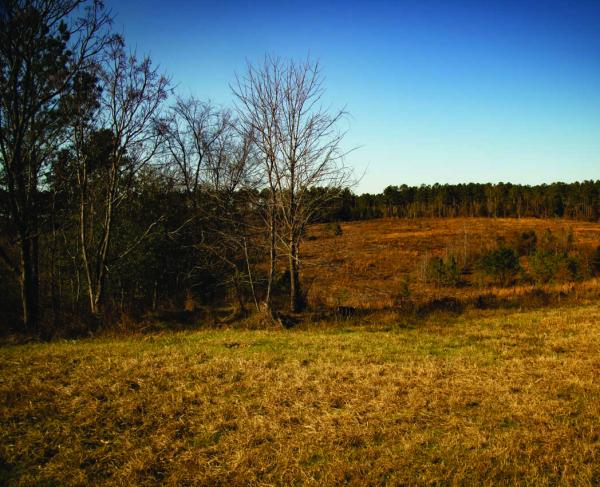 Kettle Creek Battlefield, Wilkes County, Ga.