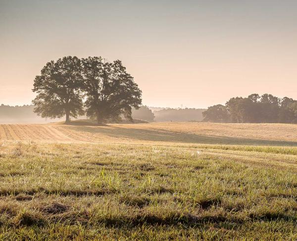 Petersburg Breakthrough Battlefield, Dinwiddie County, Va.