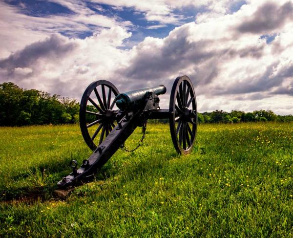 A cannon against a dramatic, cloudy sky. Yellow wildflowers bloom in the grass.