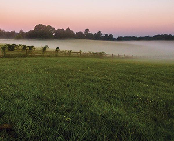 Visit Brandywine Battlefield | American Battlefield Trust