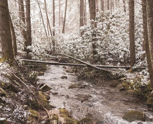 Photograph of Cumberland Gap in winter.