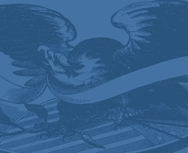 This is a sketch of a bald eagle spreading its wings.