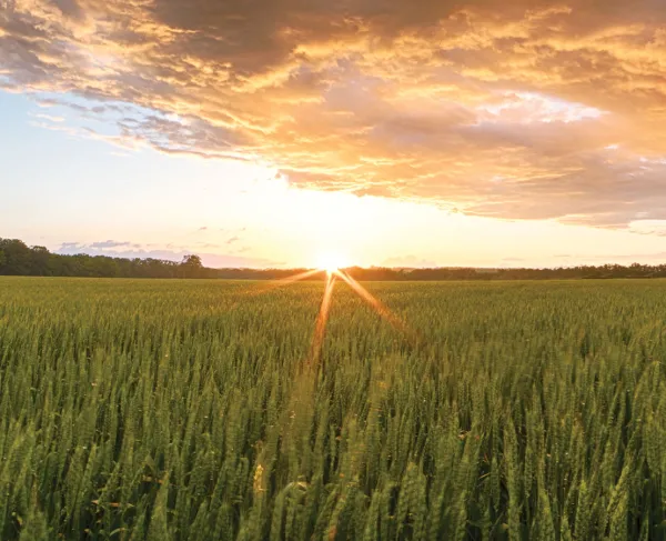 Slaughter Pen Farm, Fredericksburg, Va.