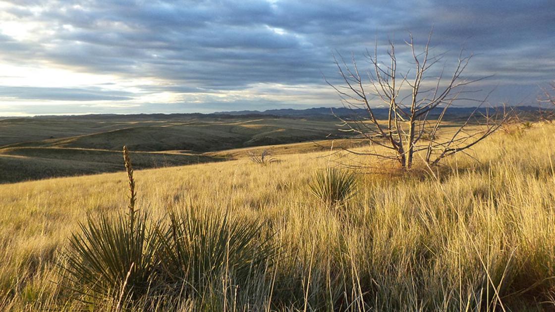 Little Bighorn National Monument, Big Horn County, Mont.