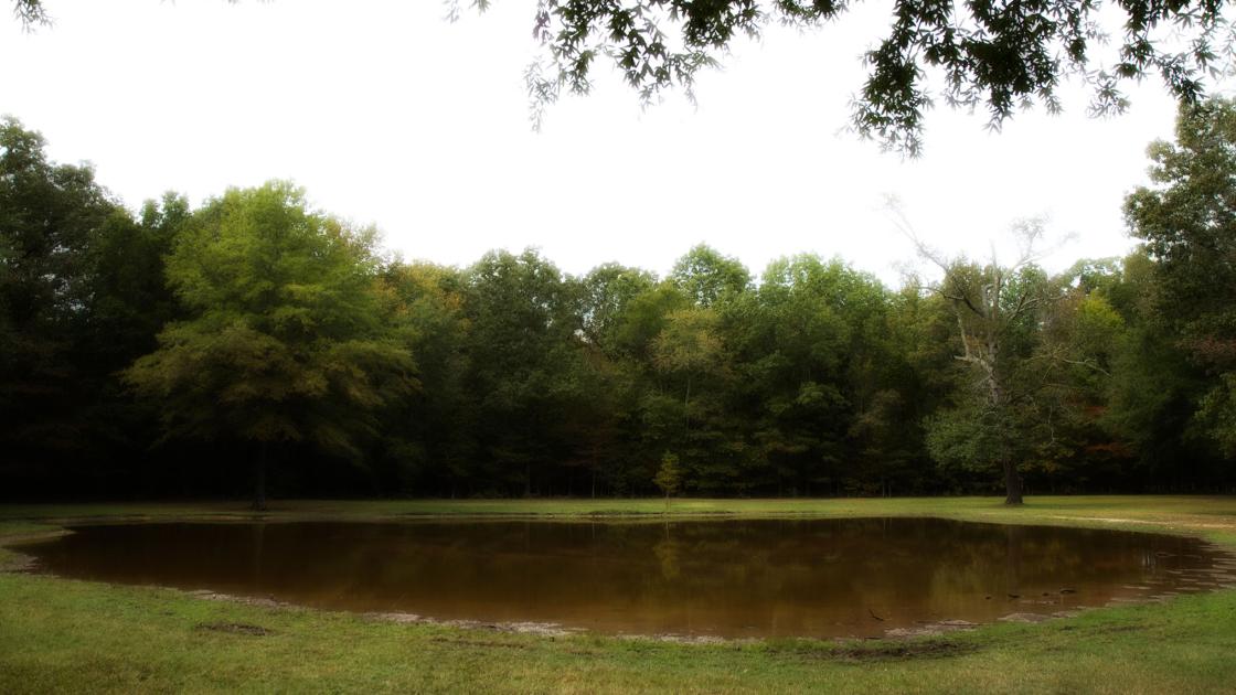 Photograph of the Bloody Pond