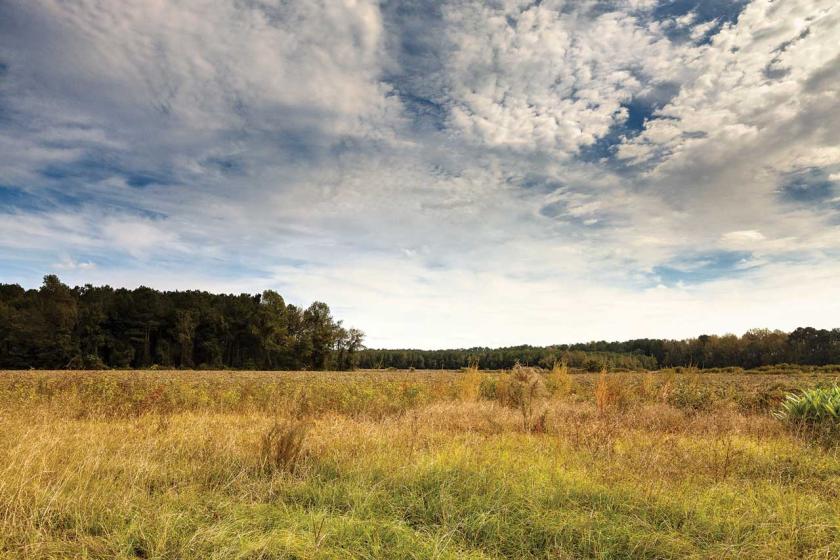 Wyse Fork Battlefield, Kinston, N.C.