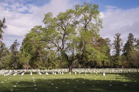 Poplar Grove Cemetery