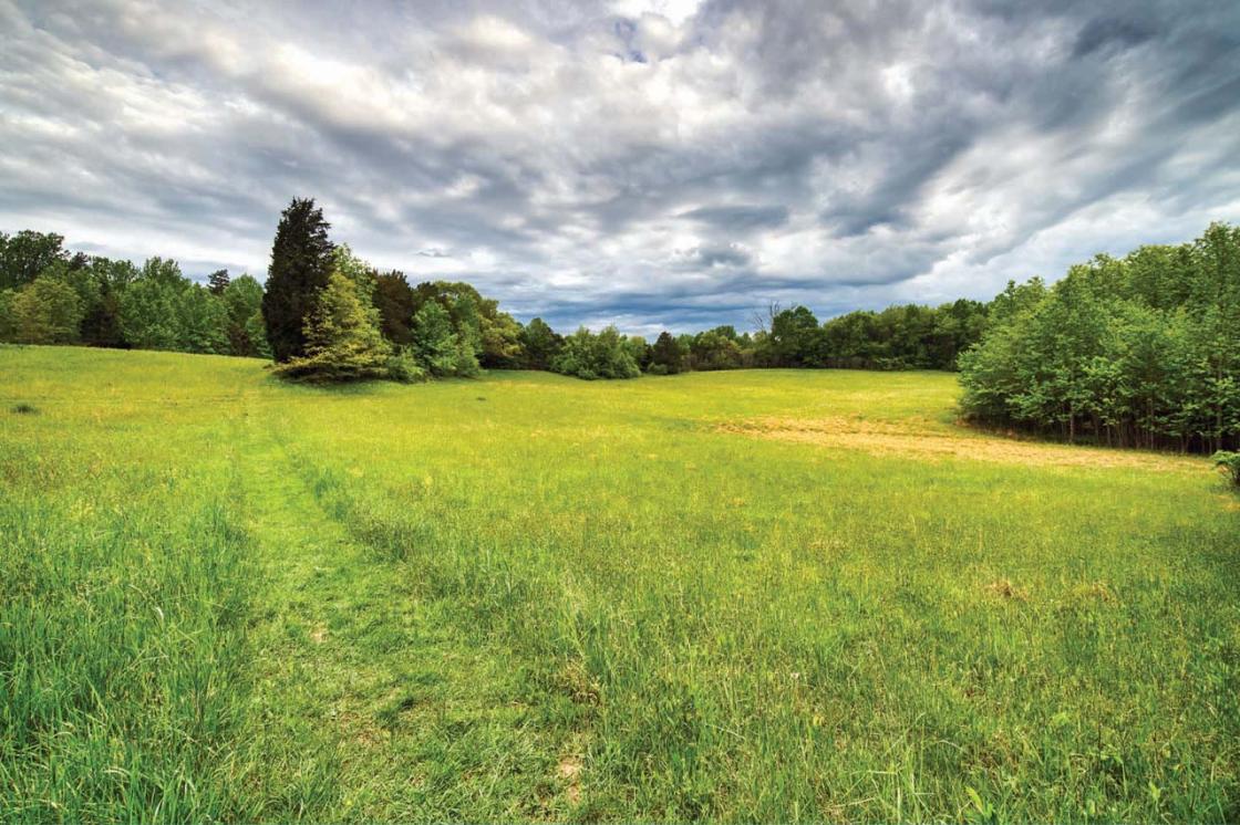 Cedar Mountain Battlefield Culpeper County, Va.