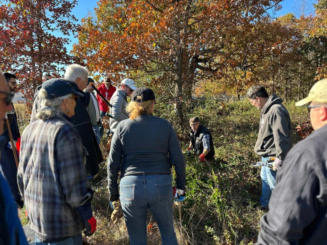 Tom demonstrates invasive cutting techniques at Cedar Mountain Battlefield. 