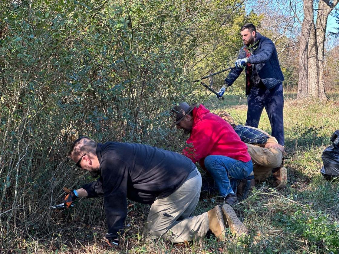 Volunteers cut and dab invasive plants at Cedar Mountain Battlefield.