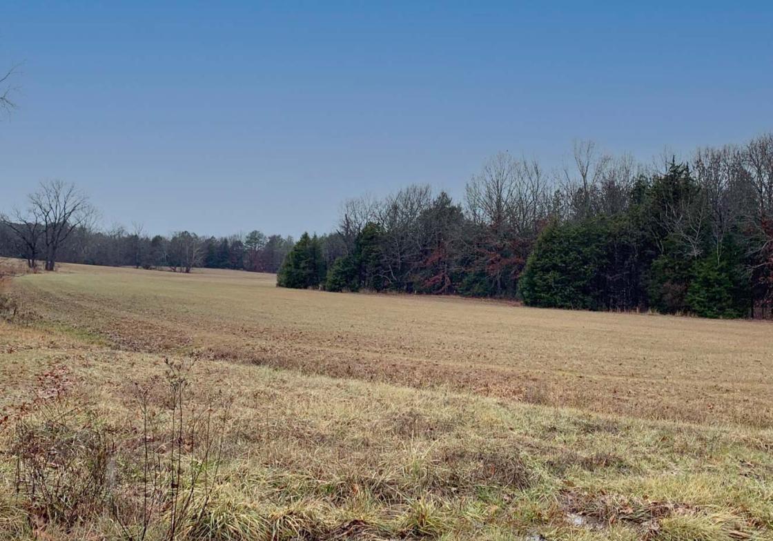 Preserved land at Brice’s Cross Roads Battlefield today