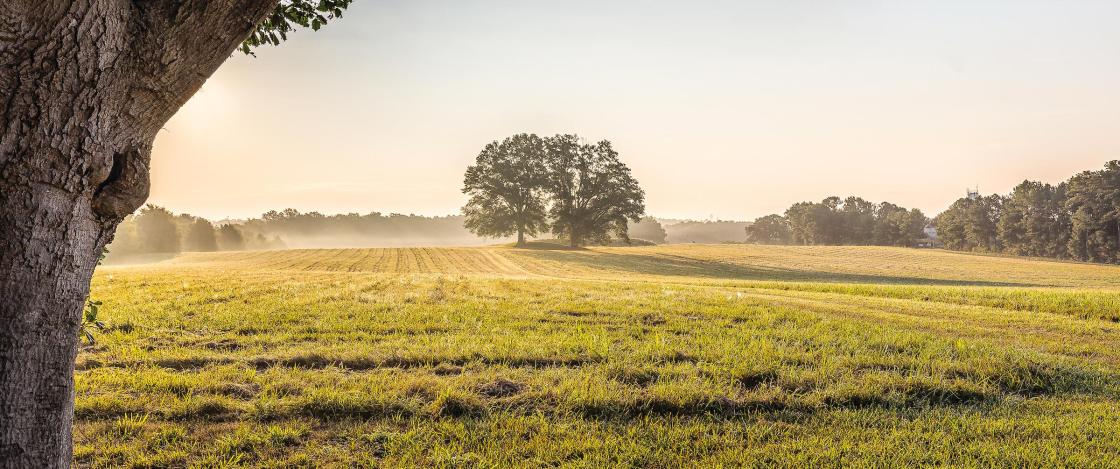 A photo of the Petersburg Breakthrough Battlefield