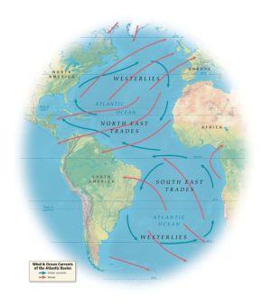 how did triangular trade and travel change the world