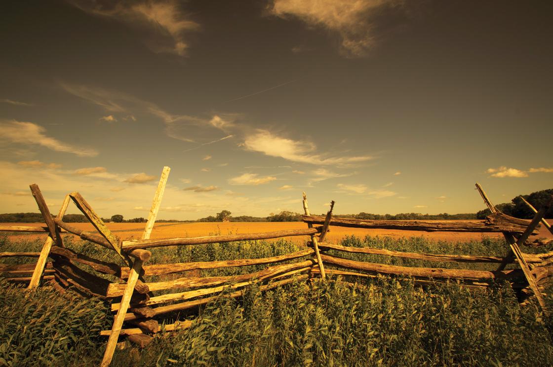 This is an image of fencing at Monmouth looking towards Sutphin house.