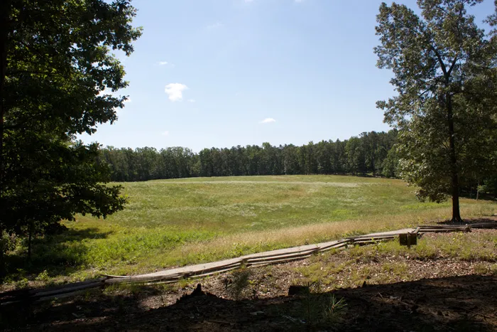 This is a photograph of Petersburg's landscape on a bright, sunny day.