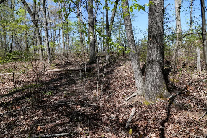 Flanking Trench at Pine Knob