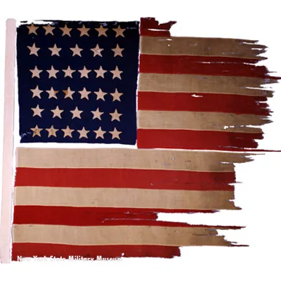 The 61st New York Flag