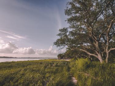 The Remnants of Fort Johnson