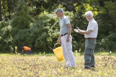 Princeton Battlefield Archaeology 2024