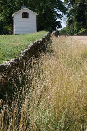 The Stone Wall